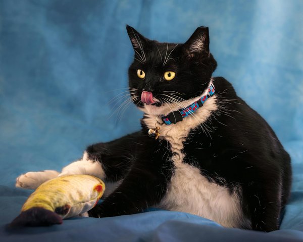 Discover the best chinese novels for every genre